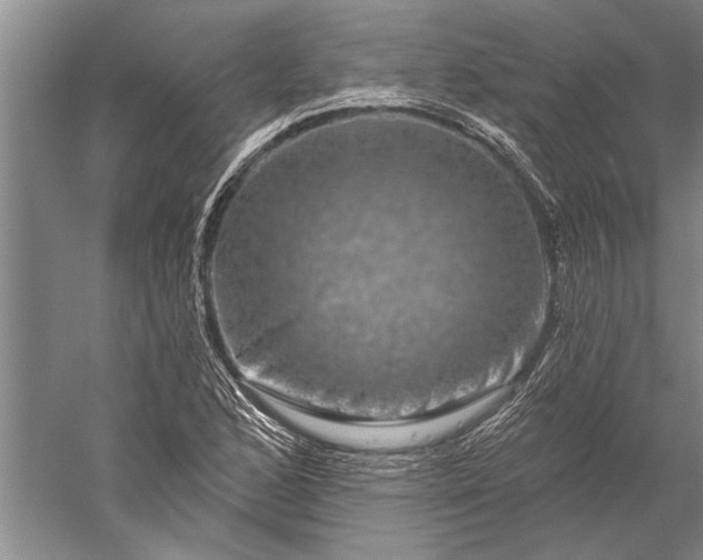 X0000056371168200509091641