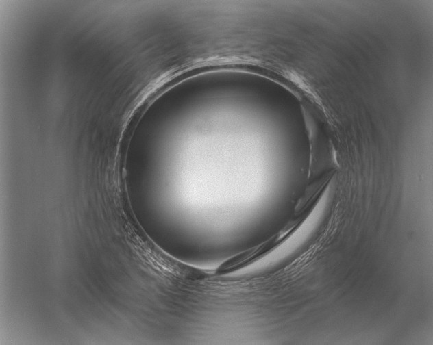 X0000056371173200509091641