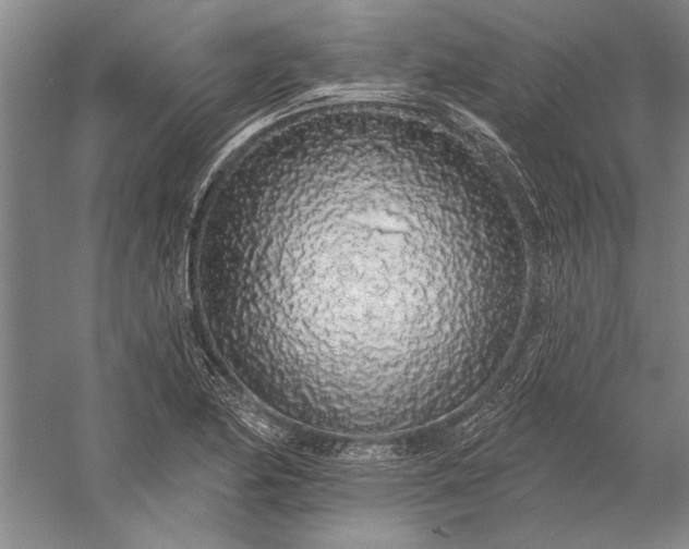 X0000056371174200509091641