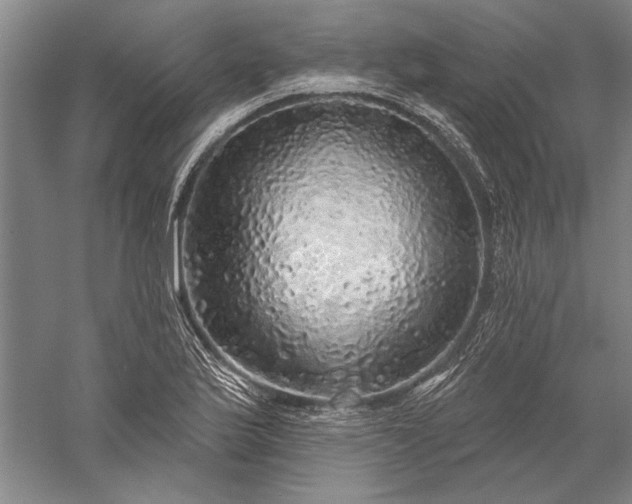 X0000056371175200509091641