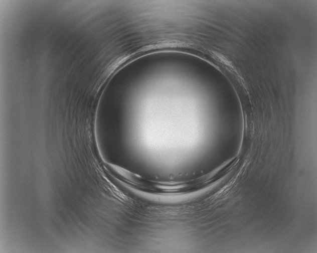 X0000056371177200509091641