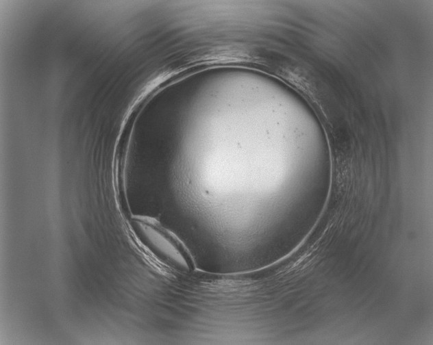 X0000056371179200509091641