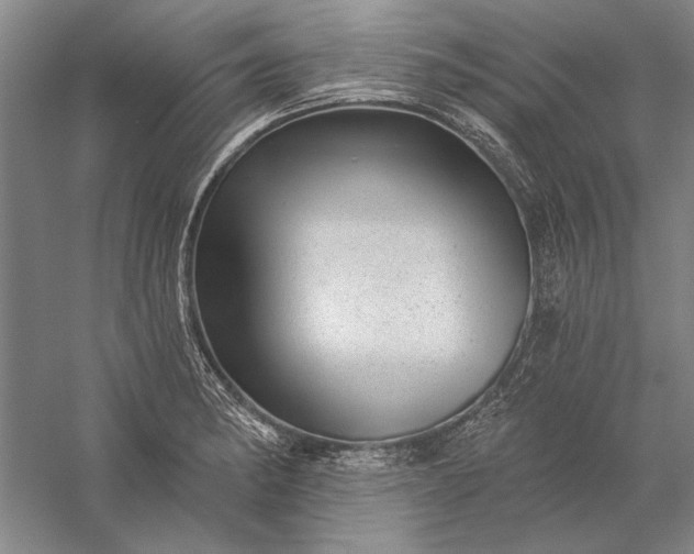 X0000056371182200509091641