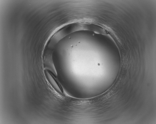 X0000056371184200509091641