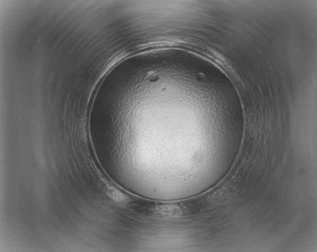 X0000056371186200509091641