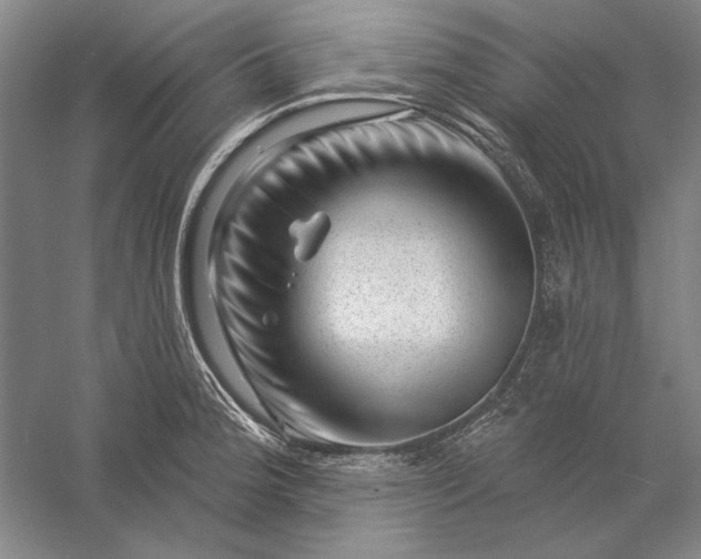 X0000056371188200509091641