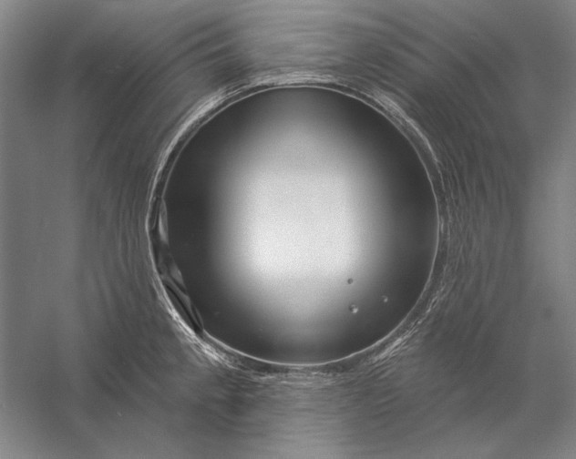 X0000056371189200509091641