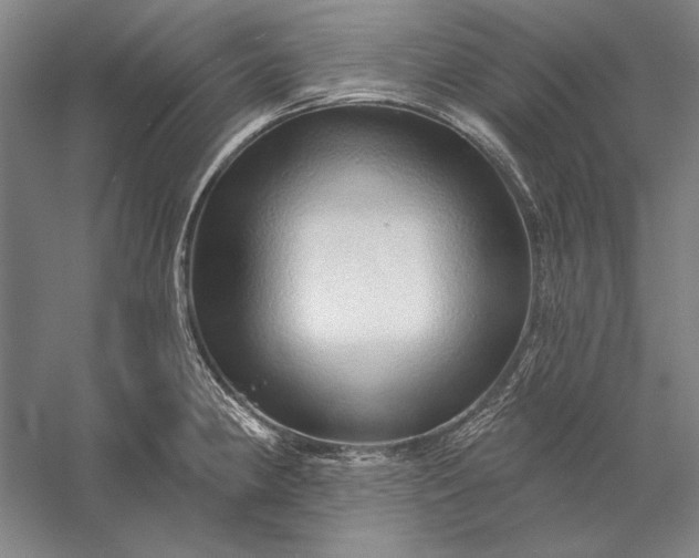 X0000056371190200509091641