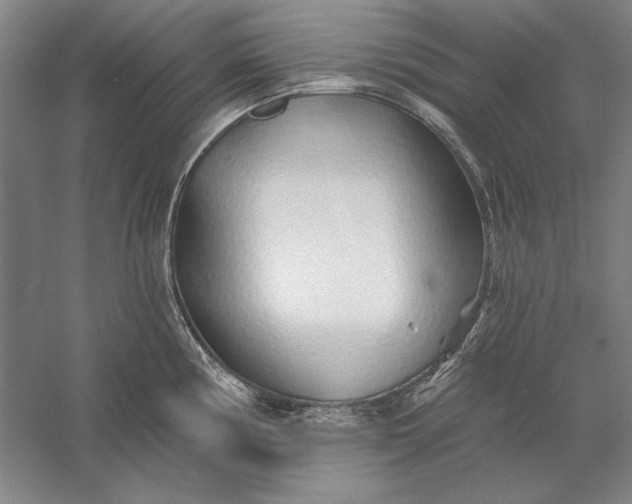 X0000056371194200509091641