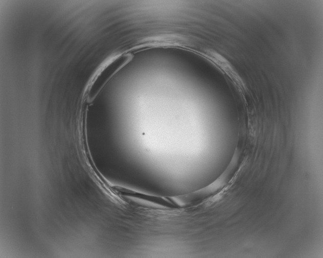 X0000056371196200509091641