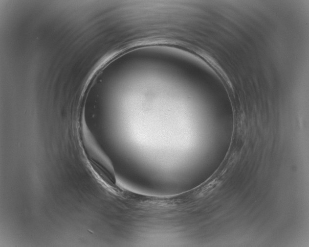 X0000056371197200509091641