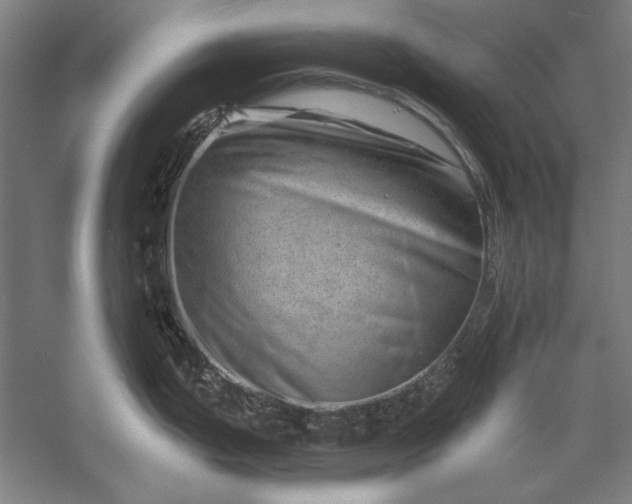 X0000056371199200509091640