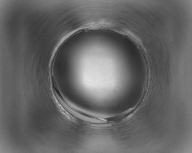 X0000056371200200509091640