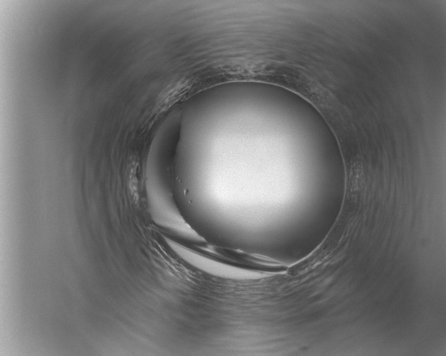 X0000056371202200509091640