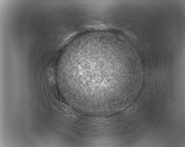 X0000056371205200509091640