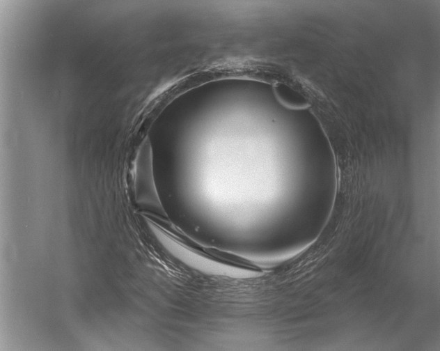 X0000056371206200509091640