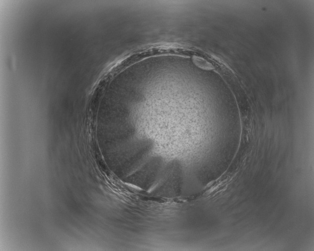 X0000056371207200509091640