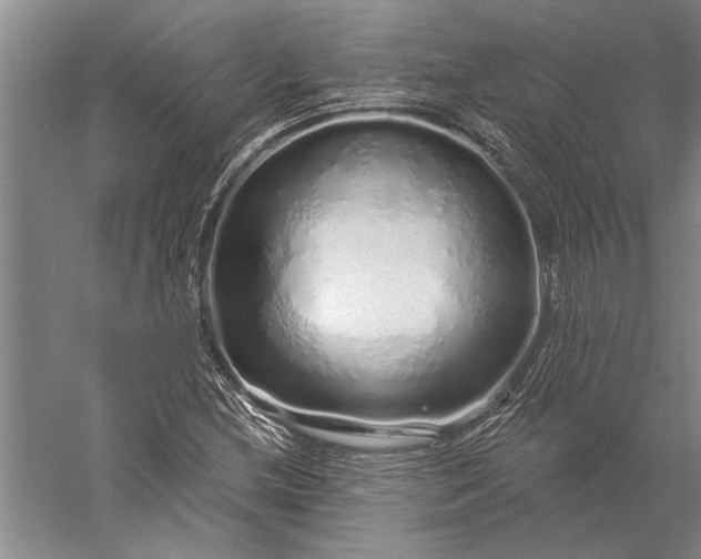 X0000056371212200509091640