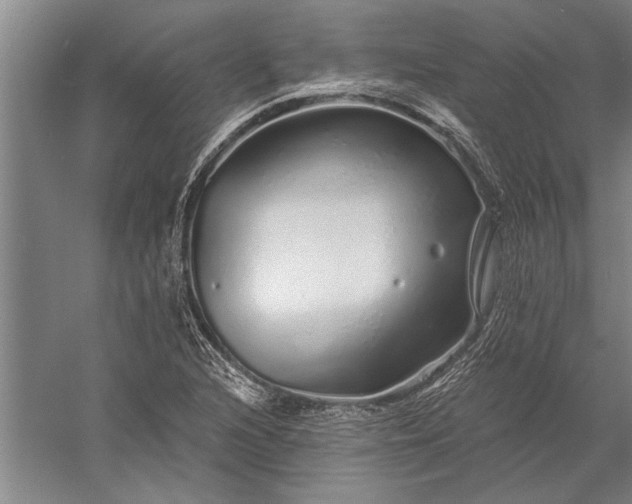 X0000056371216200509091640