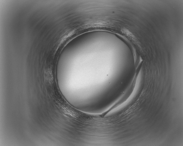 X0000056371218200509091640