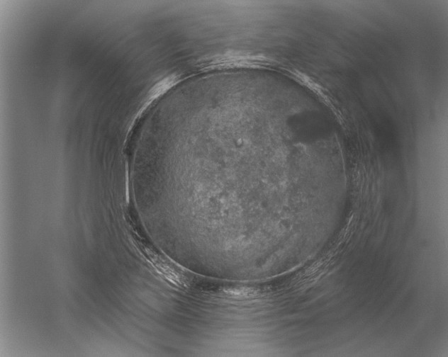 X0000056371219200509091640