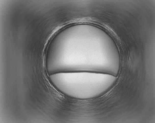 X0000056371224200509091640