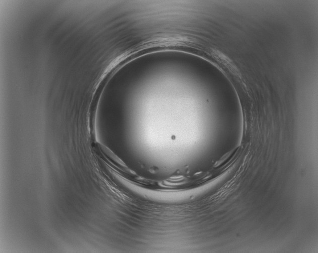 X0000056371226200509091640