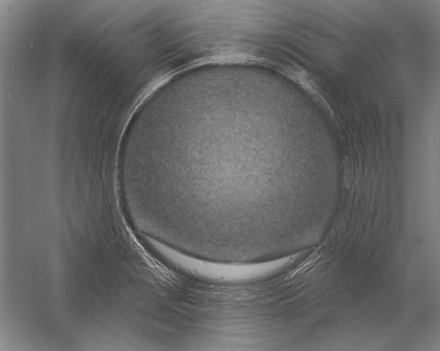 X0000056371229200509091640