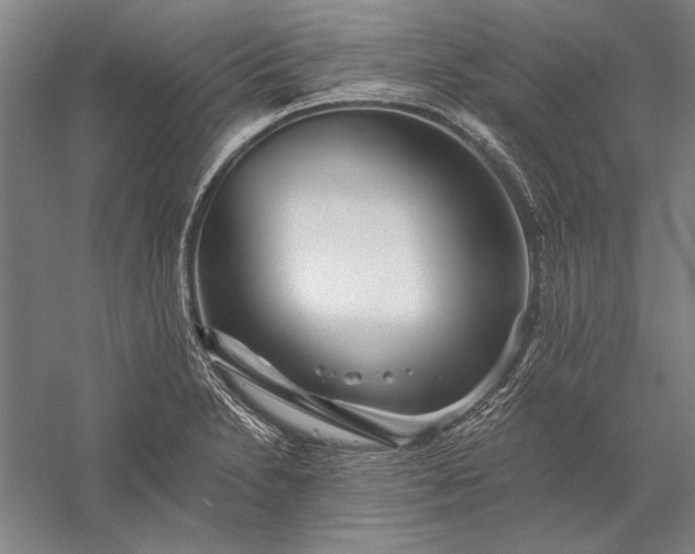 X0000056371230200509091640