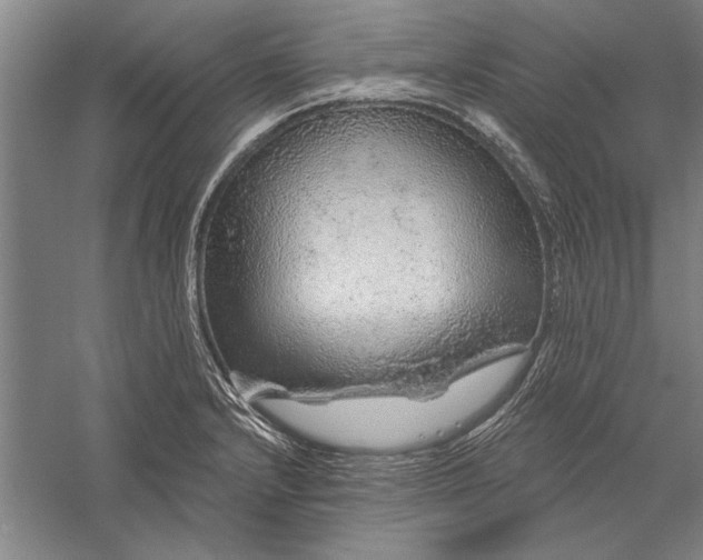 X0000056371232200509091640