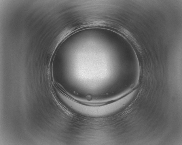 X0000056371234200509091640