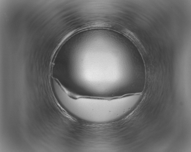 X0000056371236200509091640