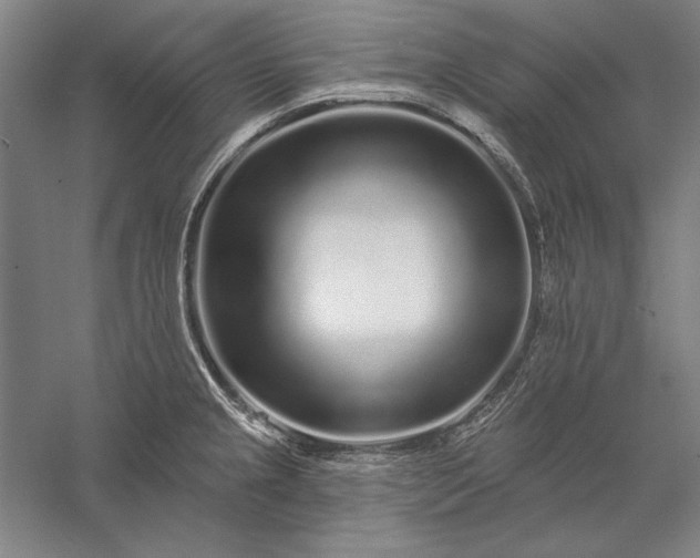 X0000056371237200509091640