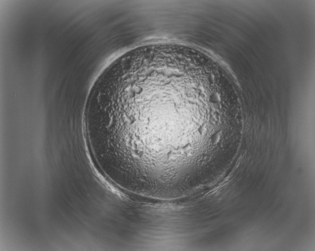 X0000056371239200509091640