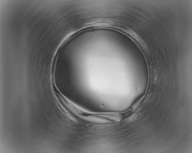 X0000056371240200509091640