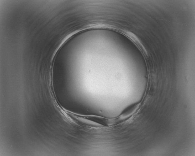 X0000056371244200509091640