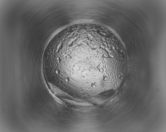 X0000056371245200509091640