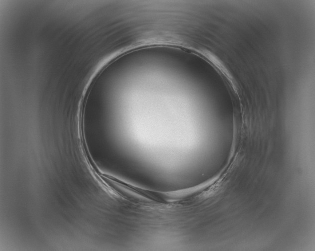 X0000056371246200509091640