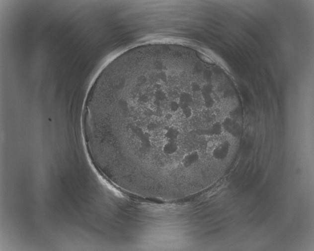 X0000056371247200509091640