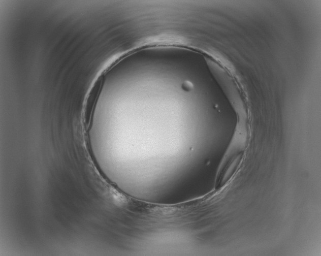 X0000056371248200509091640