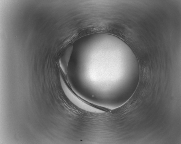 X0000056371250200509091640