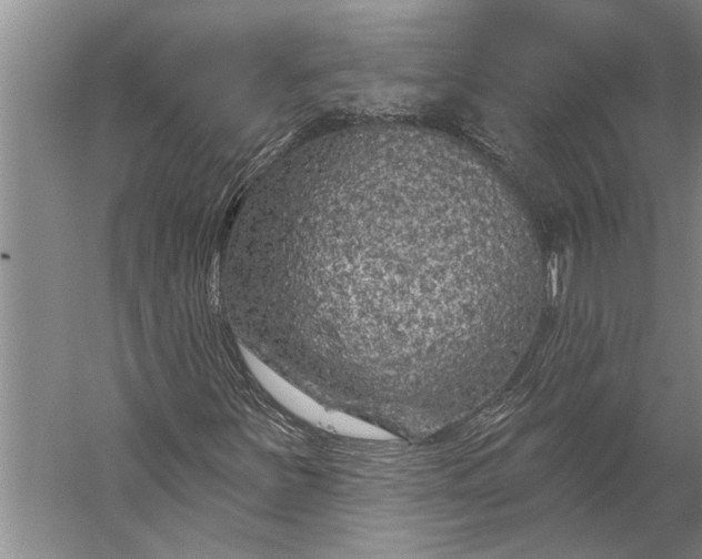 X0000056371251200509091640