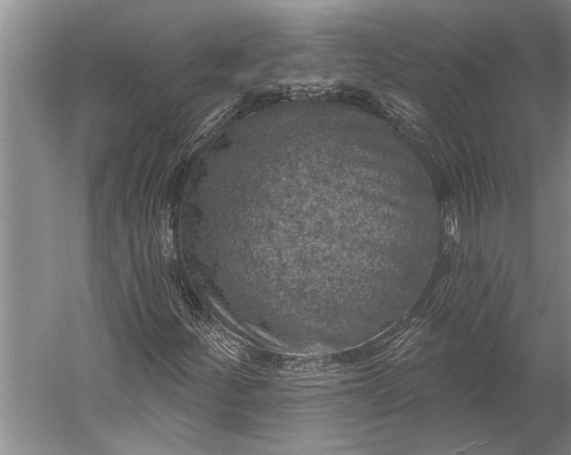 X0000056371252200509091640