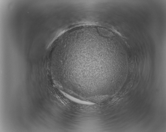 X0000056371255200509091640