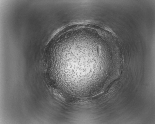 X0000056371256200509091640