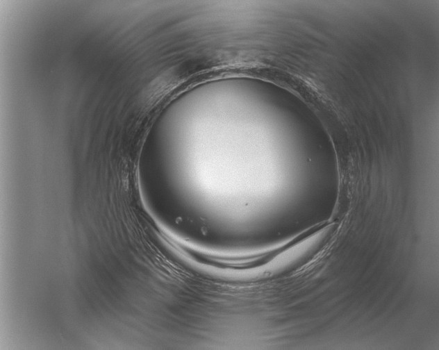 X0000056371257200509091640