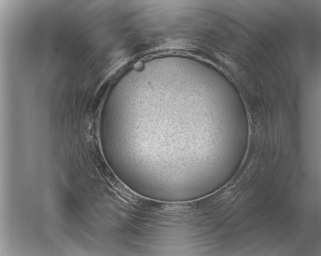 X0000056371258200509091640