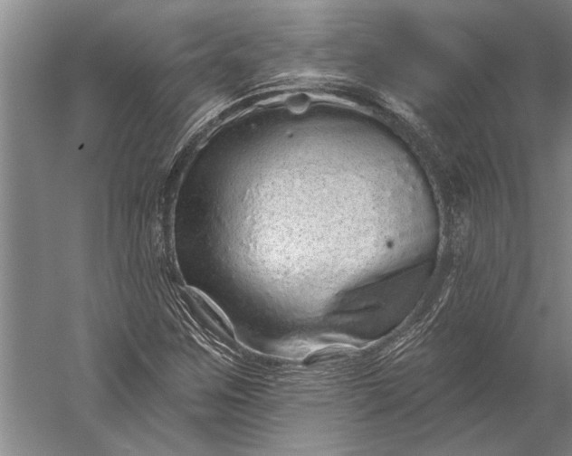 X0000056371259200509091639