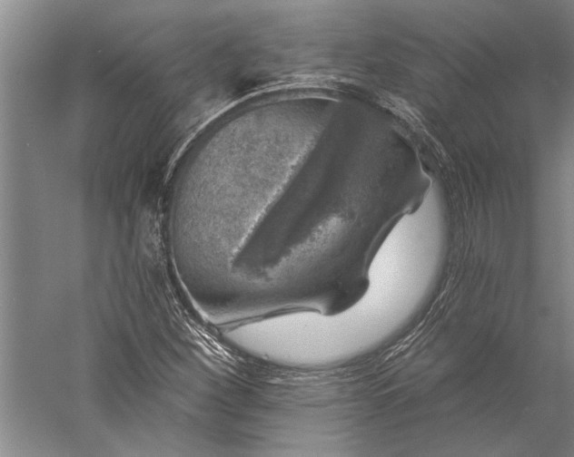 X0000056371260200509091639