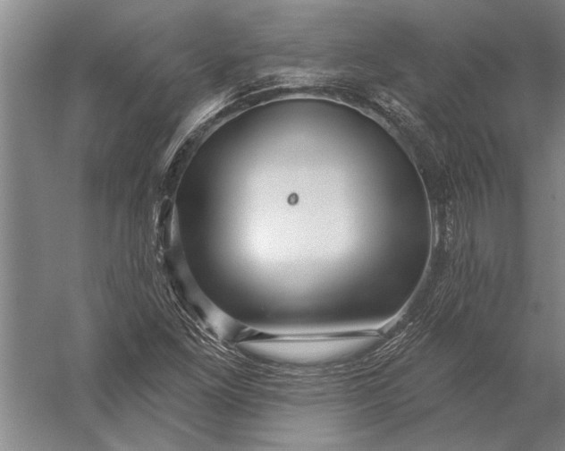 X0000056371261200509091639